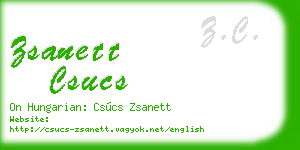 zsanett csucs business card